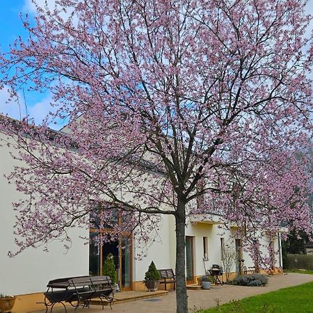 Cellino Hotel Prieros Εξωτερικό φωτογραφία